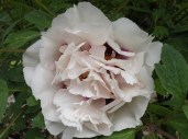 2015-05-17+19.20.04 (1)